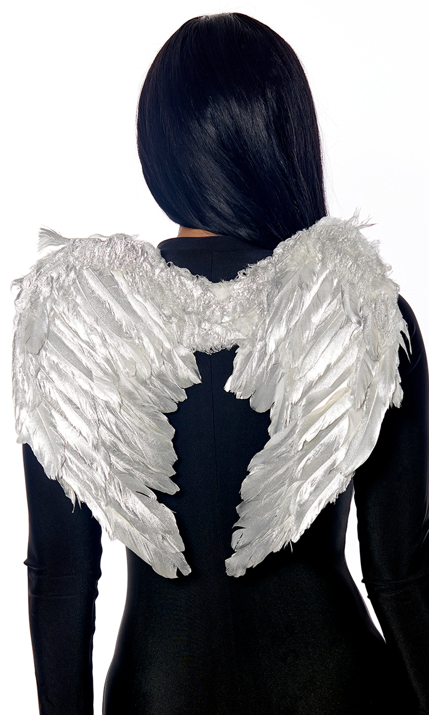 Mini Feather Angel Wings Forplay Catalog